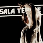 Madrid: spettacolo di flamenco al Tempio Tablao Sala con drink