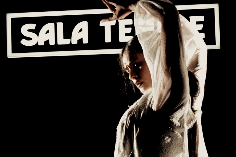 Madrid: Authentische Tablao Flamenco Show im Sala TempleMadrid: Authentische Tablao Flamenco Show