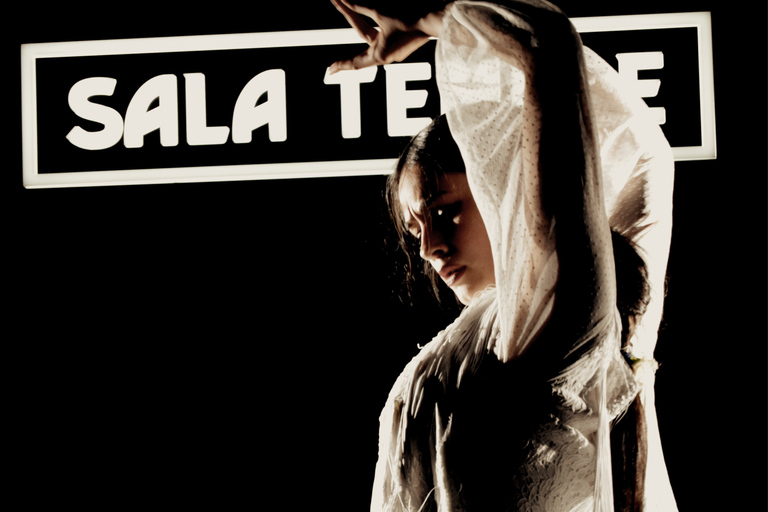 Madrid: Flamenco Show at Tablao Sala Temple with DrinkTablao Flamenco Show and Drink