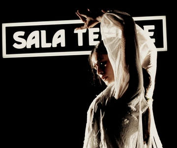 Madrid: Flamenco Show at Tablao Sala Temple with Drink