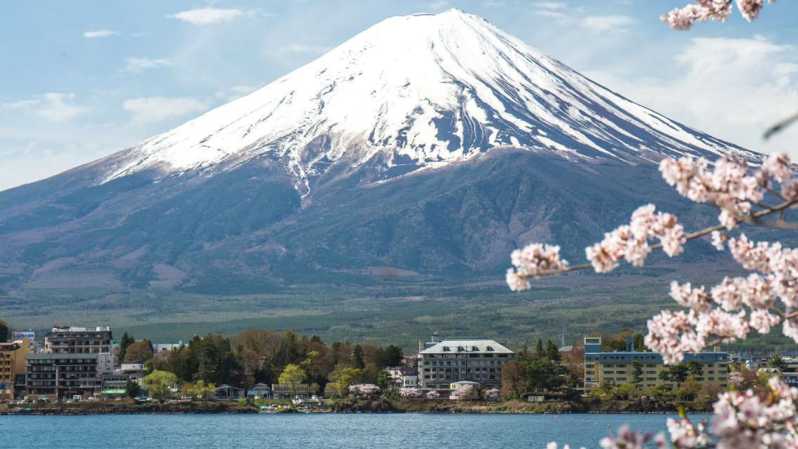 Da Tokyo: tour privato di un giorno sul percorso classico del Monte Fuji