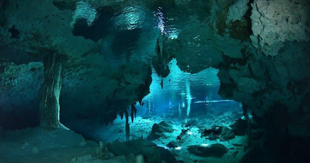 Tulum: Casa Cenote Snorkeling Experience | GetYourGuide