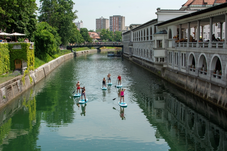 Ljubljana : Excursion en Stand-Up Paddle BoardingLjubljana - Tour privé de SUP pour les familles et les groupes