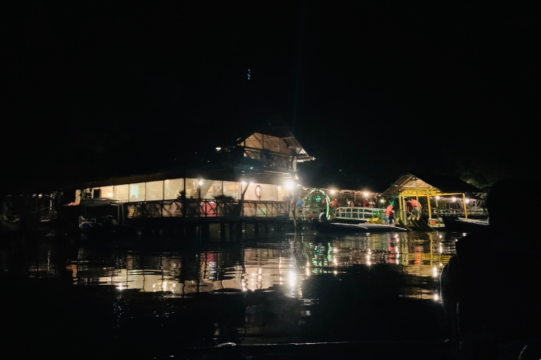 Puerto Princesa: Dschungel Glühwürmchen beobachten Bootstour & Abendessen