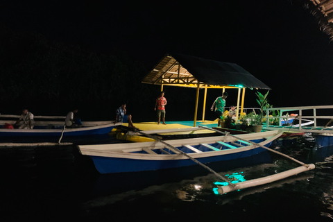 Puerto Princesa: avistamiento de luciérnagas en la jungla, paseo en barco y cena