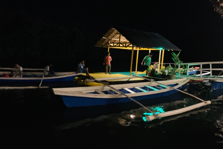 Puerto Princesa: excursion en bateau d'observation des lucioles dans la jungle et dîner