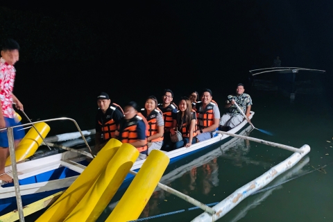 Puerto Princesa: excursion en bateau d'observation des lucioles dans la jungle et dîner