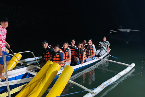 Puerto Princesa: Jungle Firefly Watching Boat Tour &amp; Dinner