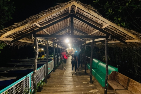 Puerto Princesa: avistamiento de luciérnagas en la jungla, paseo en barco y cena