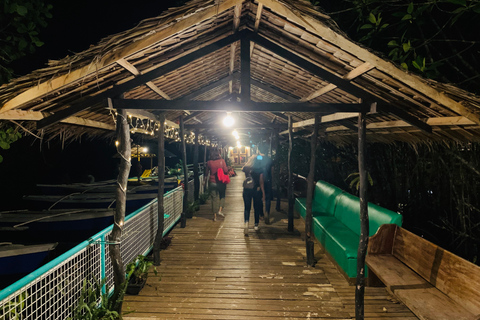 Puerto Princesa: excursion en bateau d'observation des lucioles dans la jungle et dîner