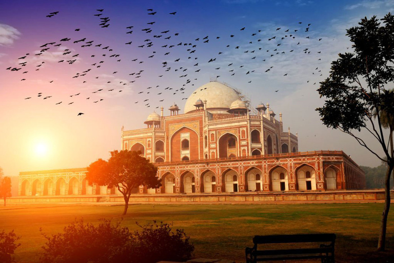 Delhi Full Day Tour With Experience Guide