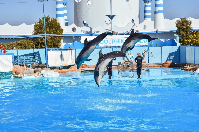 Hurghada: Dolphin World 1 Stunde Show mit Abholung vom Hotel