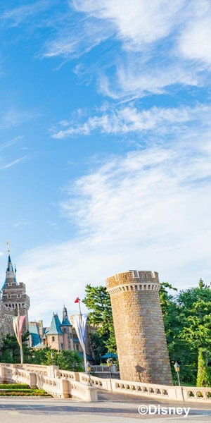 Tokyo Disneyland 1-Day Passport | GetYourGuide