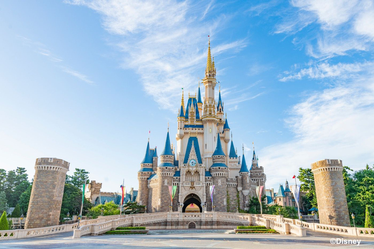 Tokyo Disneyland – en dags entrébiljettTokyo Disneyland – endagsbiljett