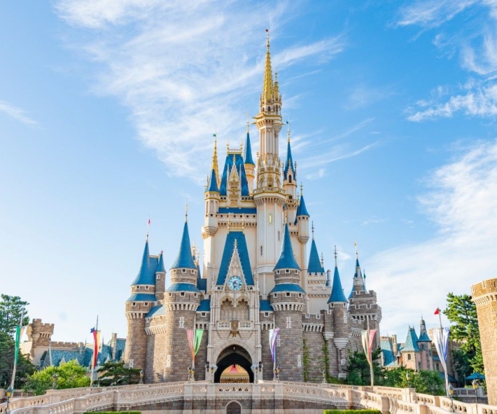Tokyo Disneyland: билет на день