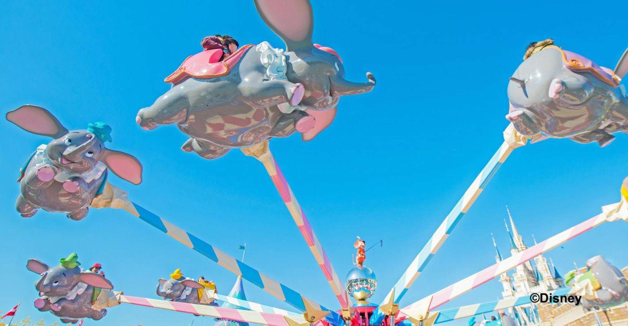 Tokyo Disneyland 1-Day Passport - Housity