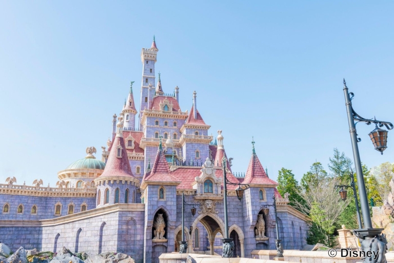 Tokyo Disneyland : Billet d'entrée sans file d'attente