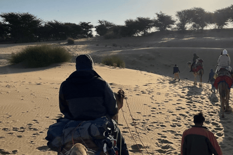 Jaisalmer: Evening Desert Tour by Car and Camel Safari