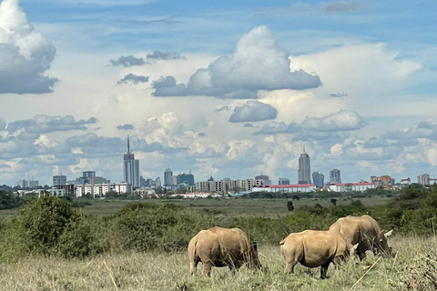 Gite di un giorno a Nairobi