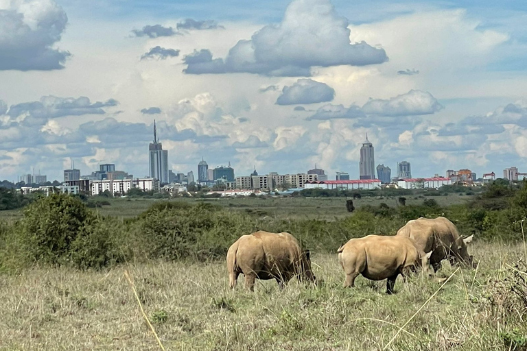 Gite di un giorno a Nairobi