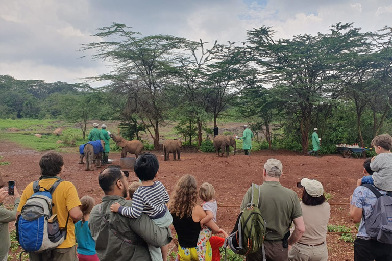 Gite di un giorno a Nairobi