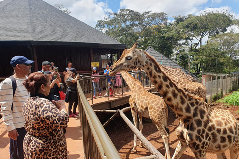 Gite di un giorno a Nairobi