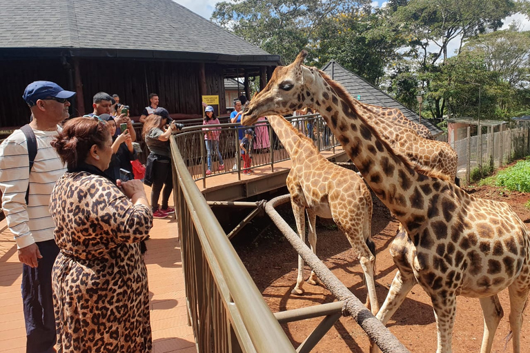 Gite di un giorno a Nairobi