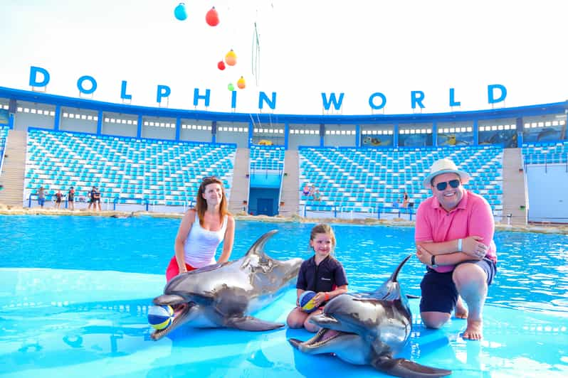 Hurghada: 1-Hour Show at Dolphin World with Optional Pickup