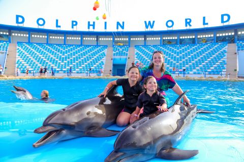 Hurghada: spettacolo mondiale dei delfini con trichechi e pick-up