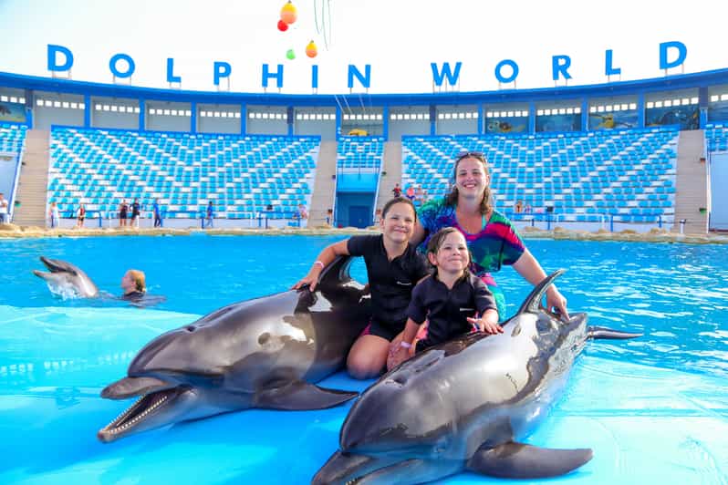 Hurghada: Dolphin Show and Walrus