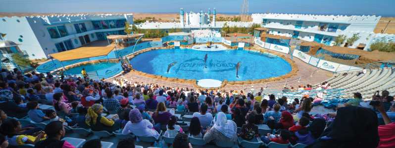 Hurghada: Dolphin World Show with Walruses and Pickup