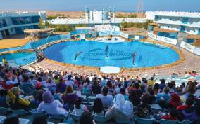 Hurghada: Dolphin World Show with Walruses and Pickup