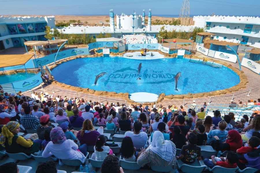 Hurghada: Dolphin World Show mit Walrossen und Pickup