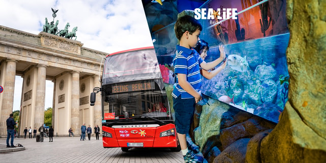 Berlin: Hop-On Hop-Off Bus & SEA Life Berlin