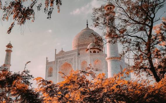 Ab Delhi: 2-tägige private geführte Taj Mahal & Agra Fort Tour