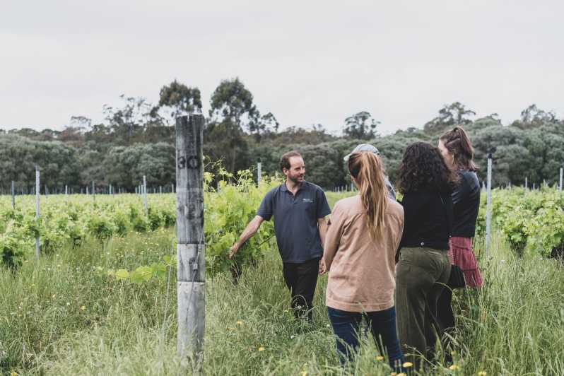 Margaret River: Full-Day Wine and Food Tour with Transfers