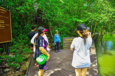 Krabi: Halbtagestour Bor Thor Mangrove Kayaking Tour