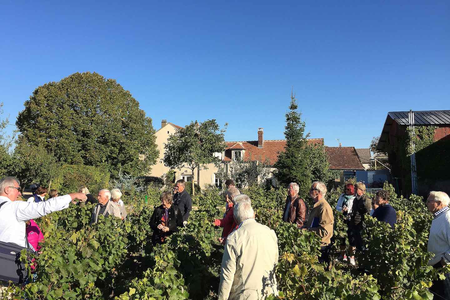 Visite et Dégustation Chablis Clotilde Davenne en français