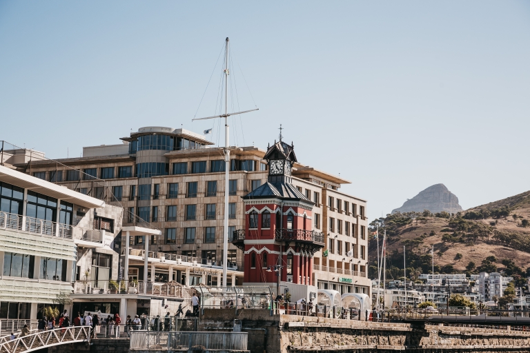 Kapstadt: 1-stündige Katamaran-Kreuzfahrt am Morgen