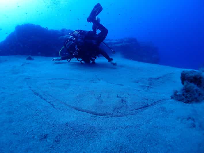 Double Dive Experience for Certified Divers in Lanzarote GetYourGuide