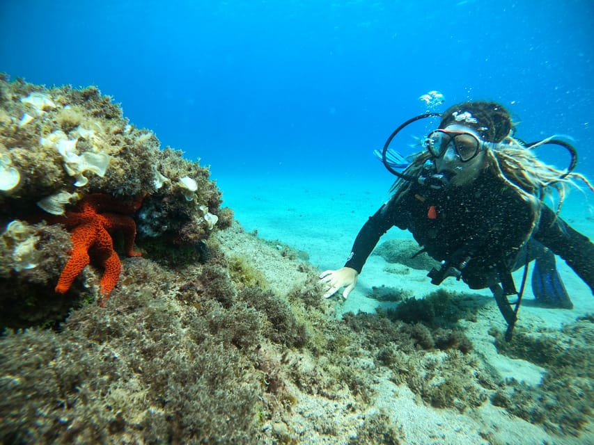 Lanzarote Experiencia De Introducci N Al Buceo Para Principiantes