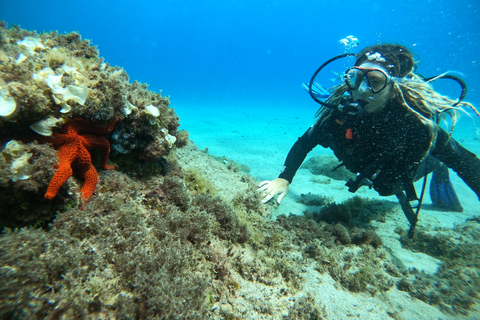 Lanzarote: Experiência de introdução ao mergulho para iniciantesLanzarote: introdução à experiência de mergulho para iniciantes