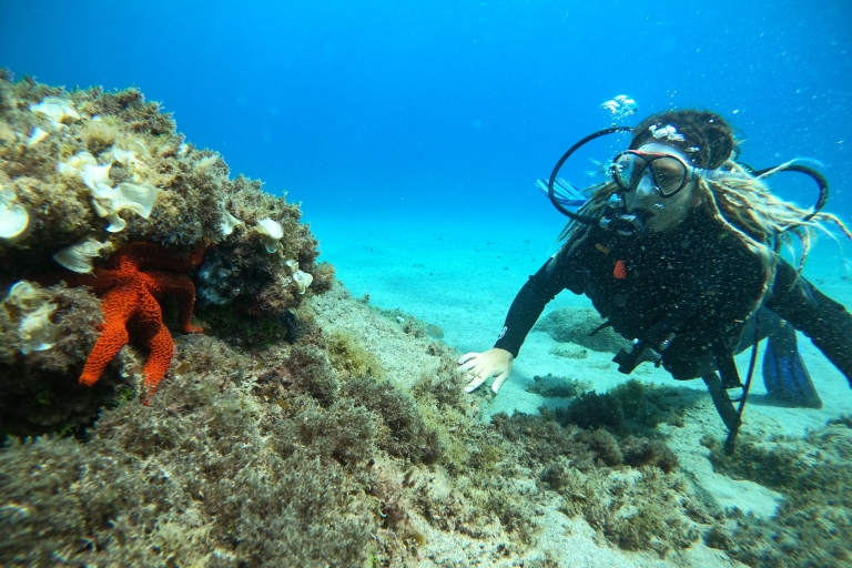 Lanzarote: probeer duiken voor beginners met een privégidsLanzarote: Probeer duiken voor beginners met een privégids