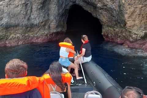 Isla Terceira: Excursión en barcoExcursión en barco por la isla Terceira