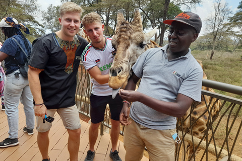 Excursion d'une demi-journée au centre des girafes et au Sheldrick Wildlife Trust