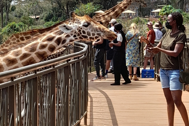 Excursion d'une demi-journée au centre des girafes et au Sheldrick Wildlife Trust