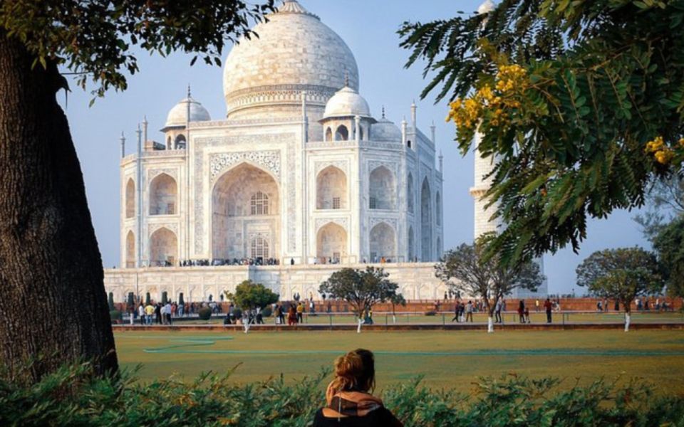 Desde Delhi Excursión Privada Al Taj Mahal Con Entrada Sin Hacer Cola Getyourguide 0524