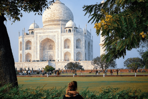 From Delhi: Only Taj Mahal Tour by Private Car All Inclusive