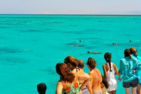 Épico safari en un banco de arena con experiencia en un parque infantil con delfines