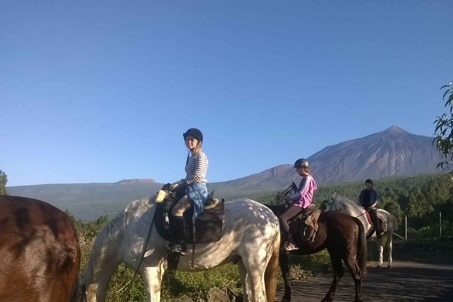 Tenerife: Recorrido guiado a caballo por el Bosque Lomo